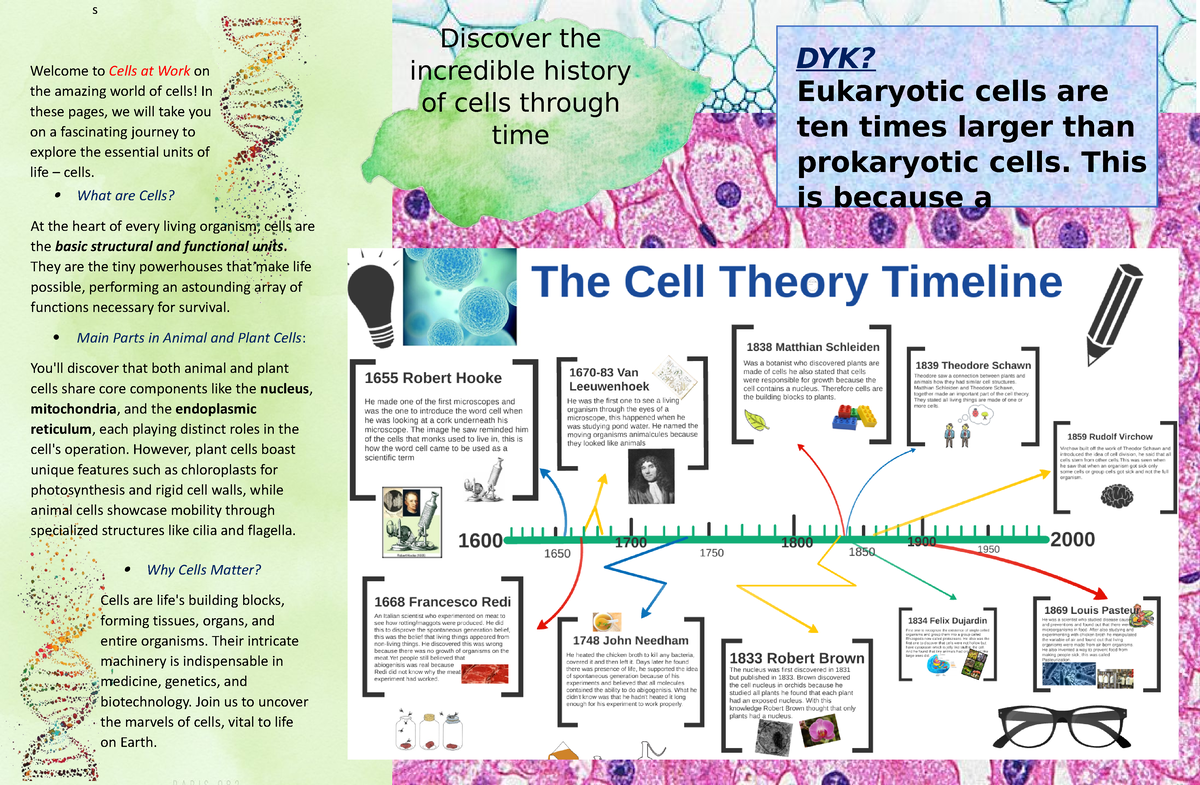 Cell Brochure Yasuka - S What Are Cells? At The Heart Of Every Living 