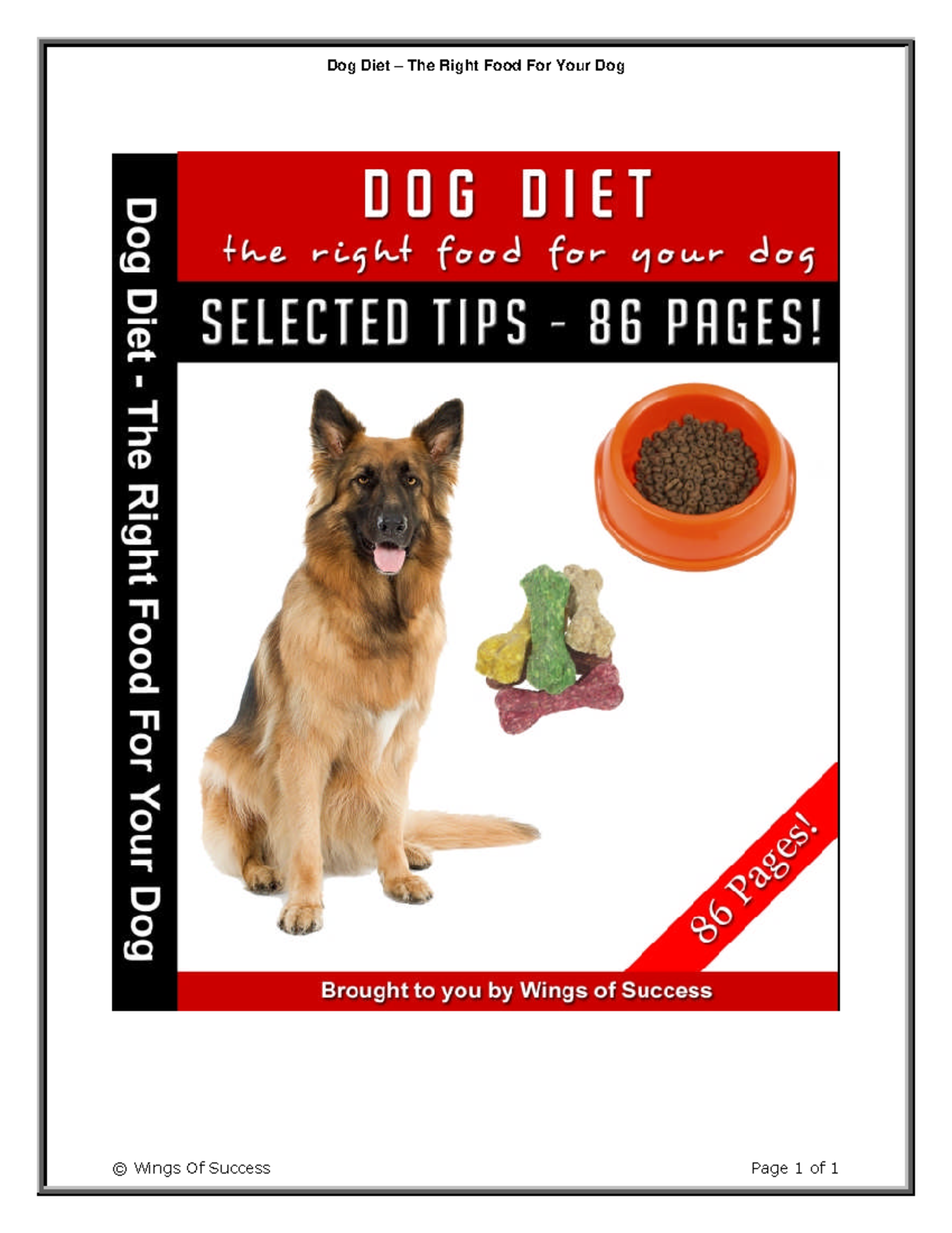 Dog Diet The Right Food for Your Dog DISCLAIMER AND TERMS OF USE
