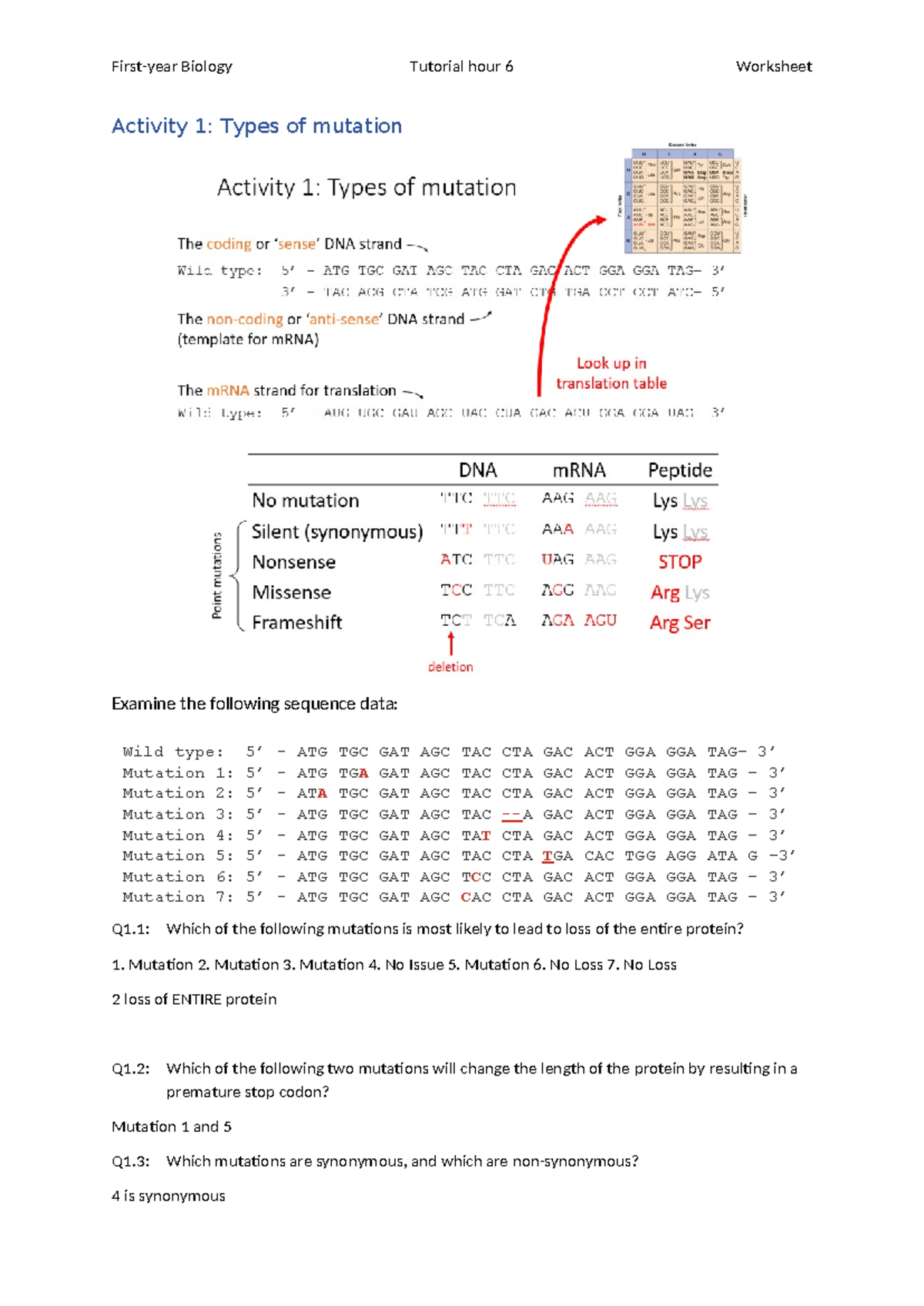 Tutorial hour 6 - worksheet - Activity 1: Types of mutation Examine the ...