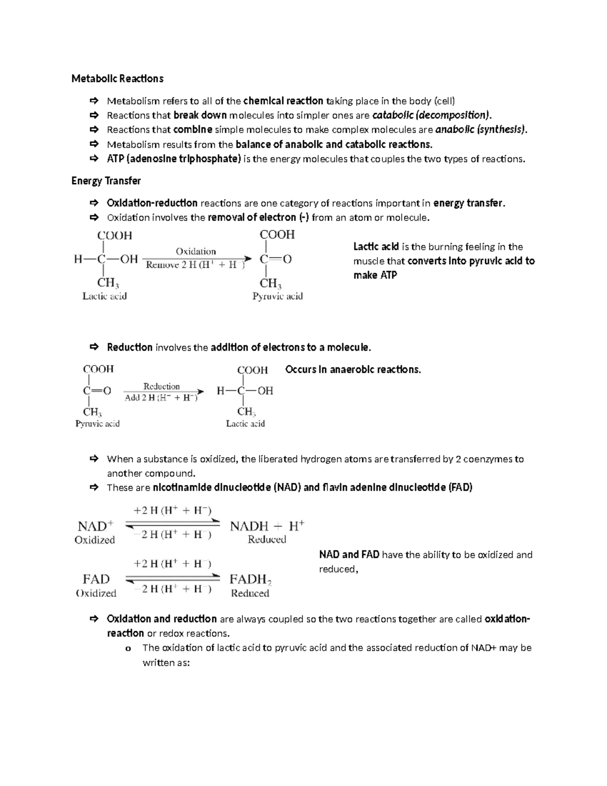 Nutrition Notes - Metabolic Reactions Metabolism refers to all of the ...