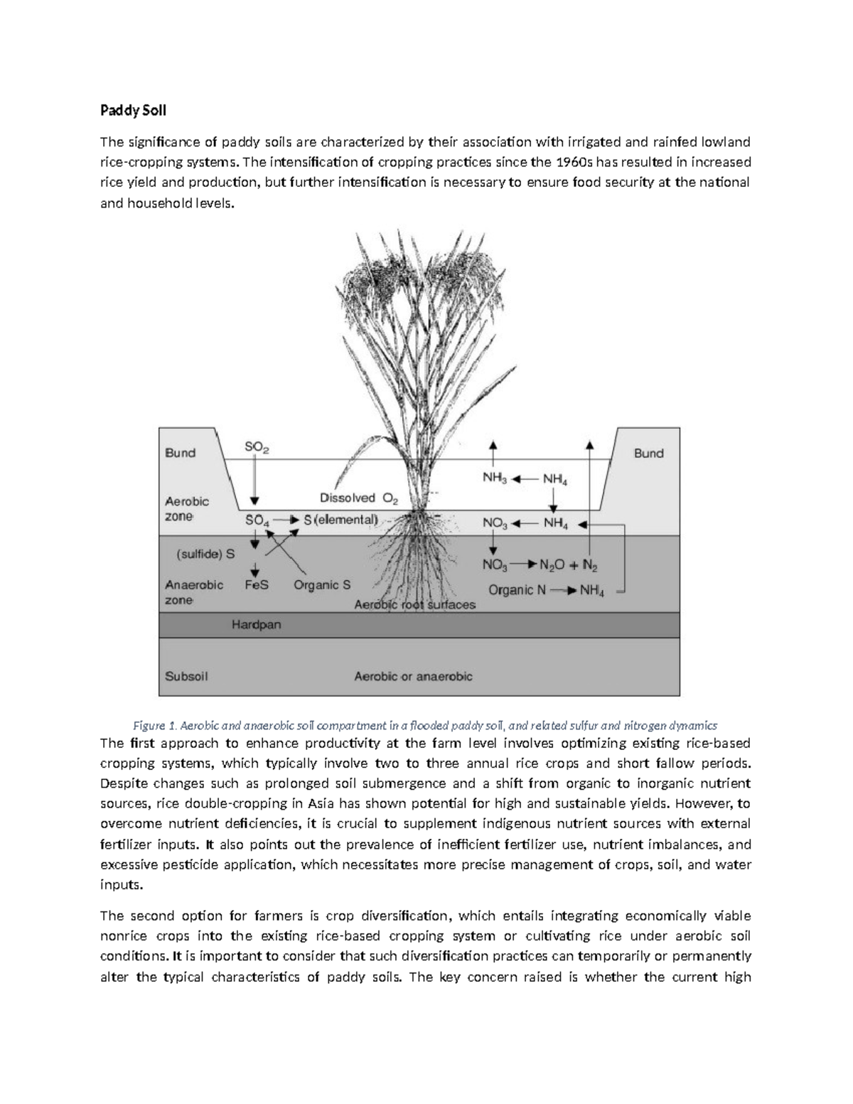 Paddy Soil 23 - Paddy Soil The significance of paddy soils are ...