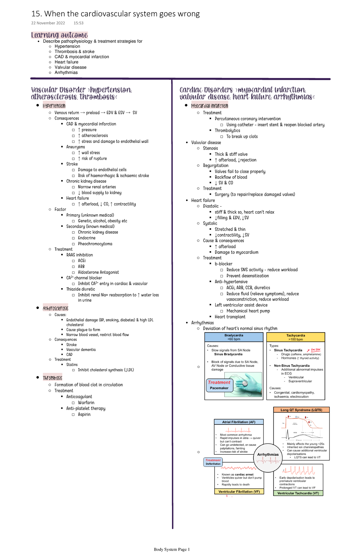 15. When the cardiovascular system goes wrong body system - Describe ...