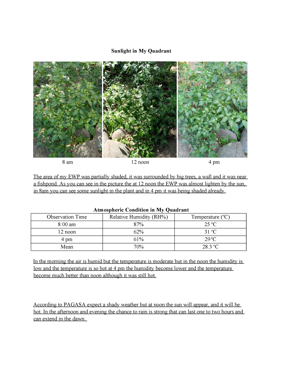 ecology-activity-6-sunlight-in-my-quadrant-8-am-12-noon-4-pm-the-area