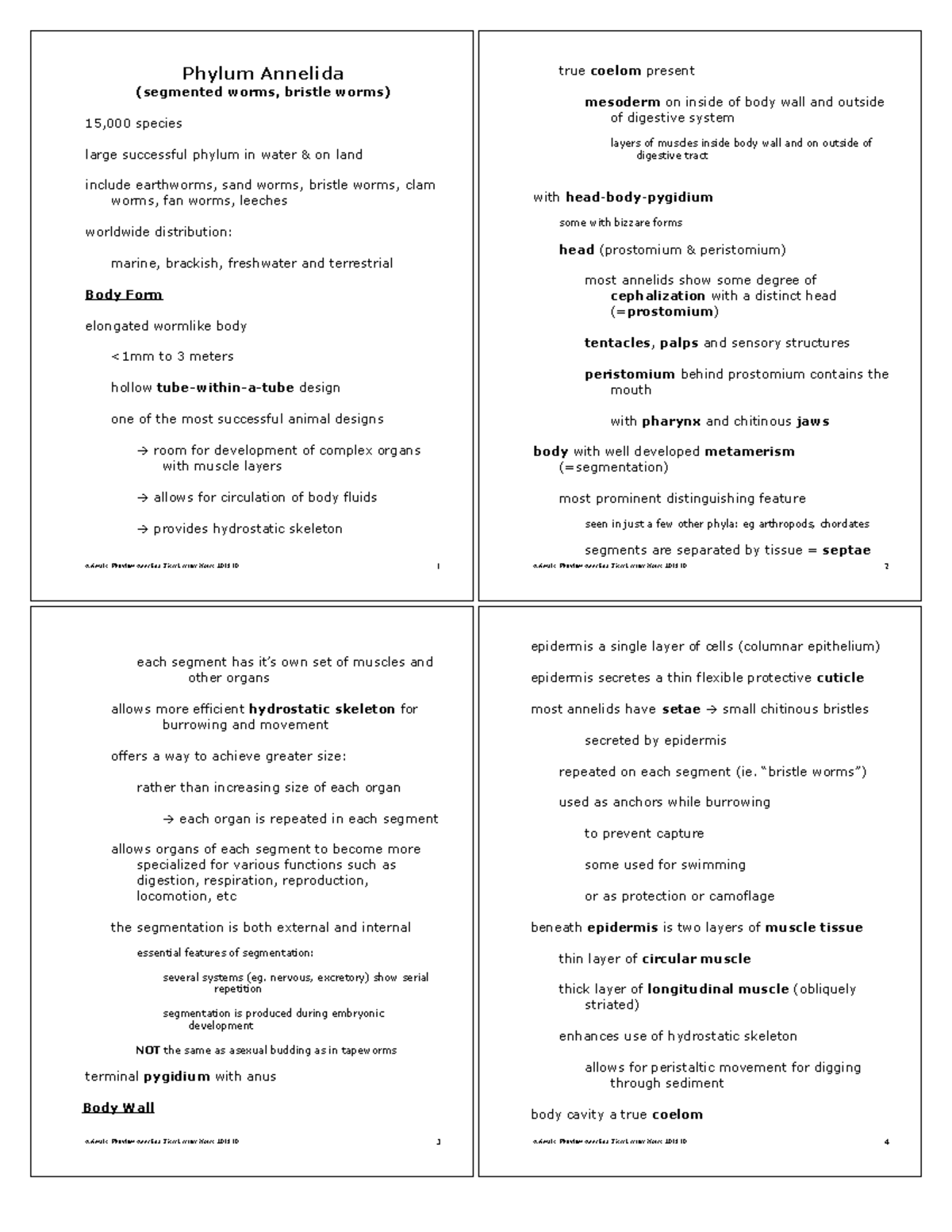 Phylum Annelida - General Zoology Lecture Notes and Handout - Animals ...