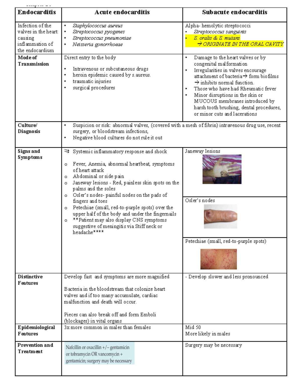 Review charts cardiovascular and lymphatic - Endocarditis Acute ...