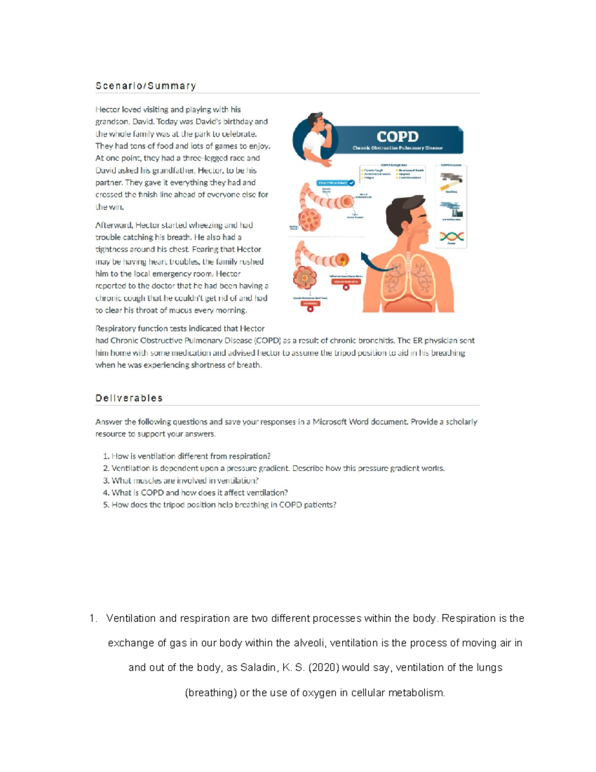 Ap 3 Week 6 Case Study - Ventilation And Respiration Are Two Different 