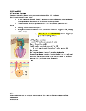 Ch Four (TBS) Notes - Protein - Chapter Four Notes Protein Structure ...