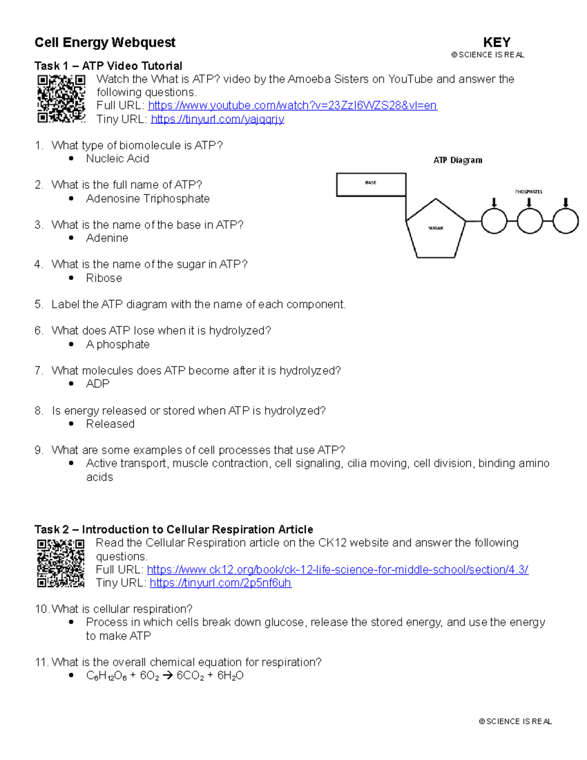 Key for Cell Energy quest Cell Energy quest KEY © SCIENCE IS