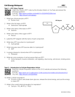 Handout for Cell Energy Webquest - CELL ENERGY WEBQUEST Name: Task 1 ...