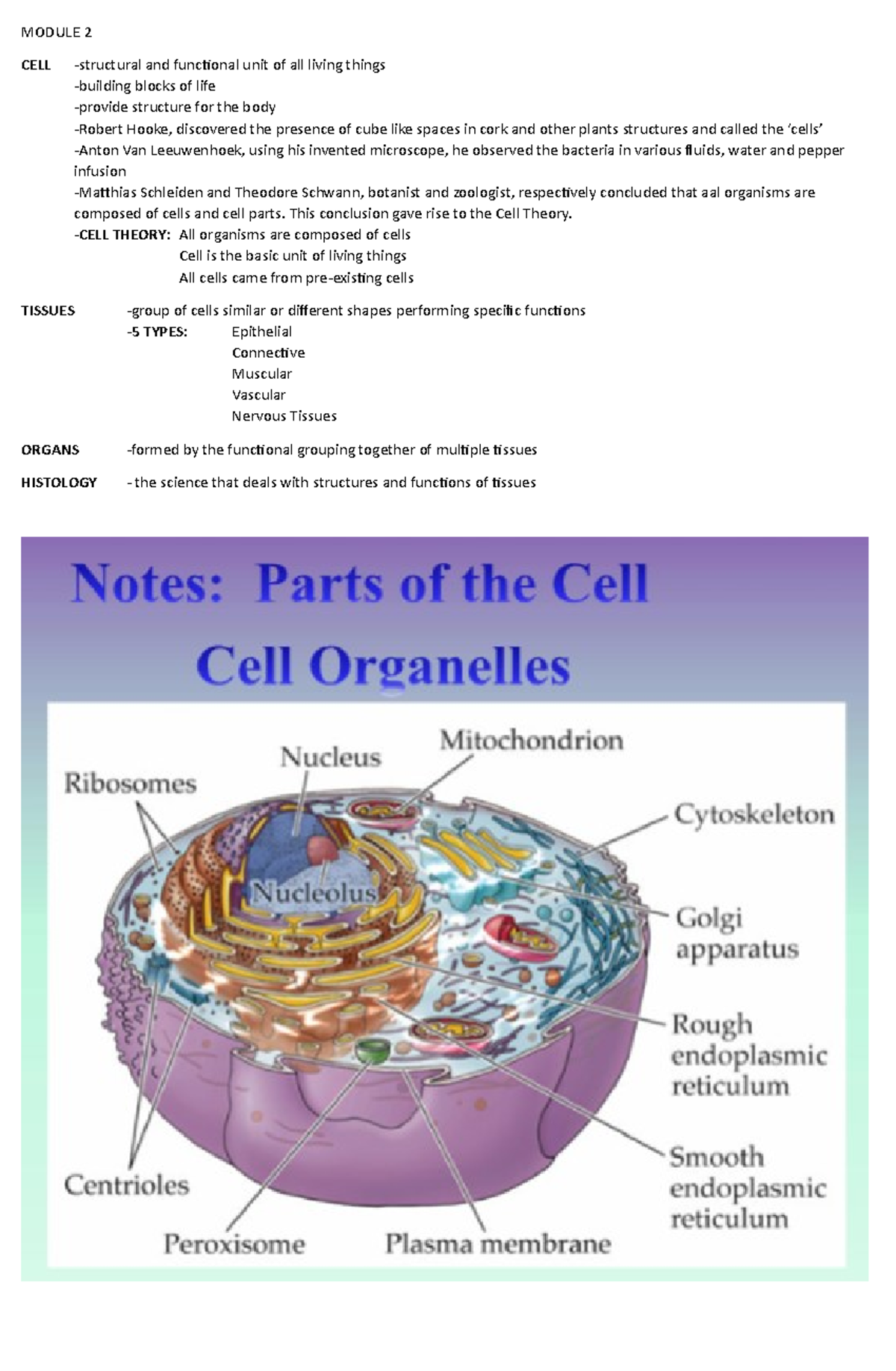 Zoology Reviewer (QUIZ 2) MODULE 2 CELL structural and functional