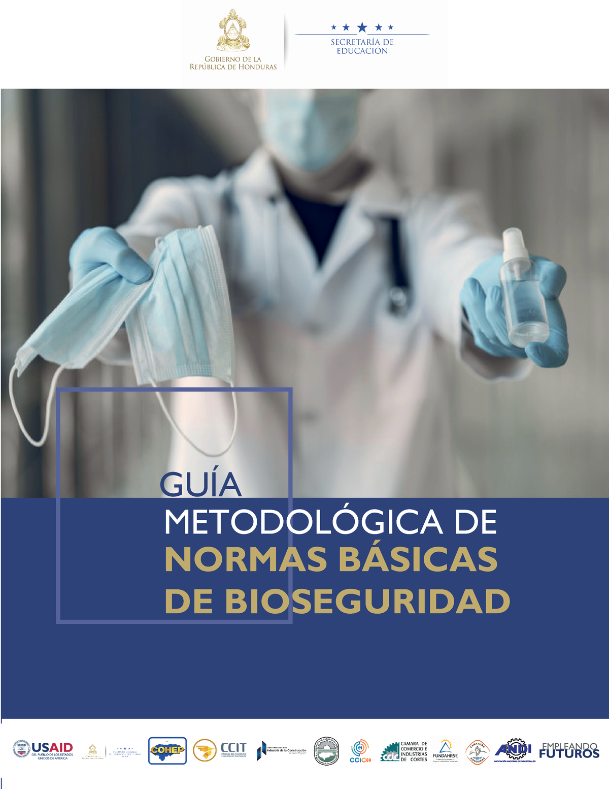 6. Guía Metodológica - F GUÕA METODOL”GICA DE NORMAS B¡SICAS DE ...