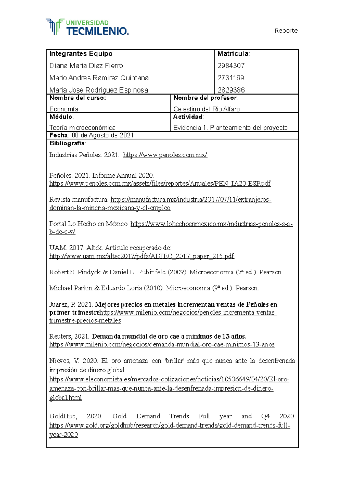 Evidencia 1 Peñoles Ddmjmr - copia - Integrantes Equipo Diana Maria ...