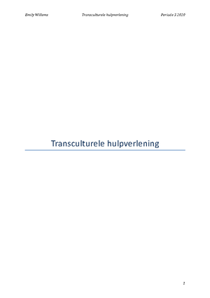 Transculturele Hulpverlening - 1 Een Pluriforme Samenleving Is De ...