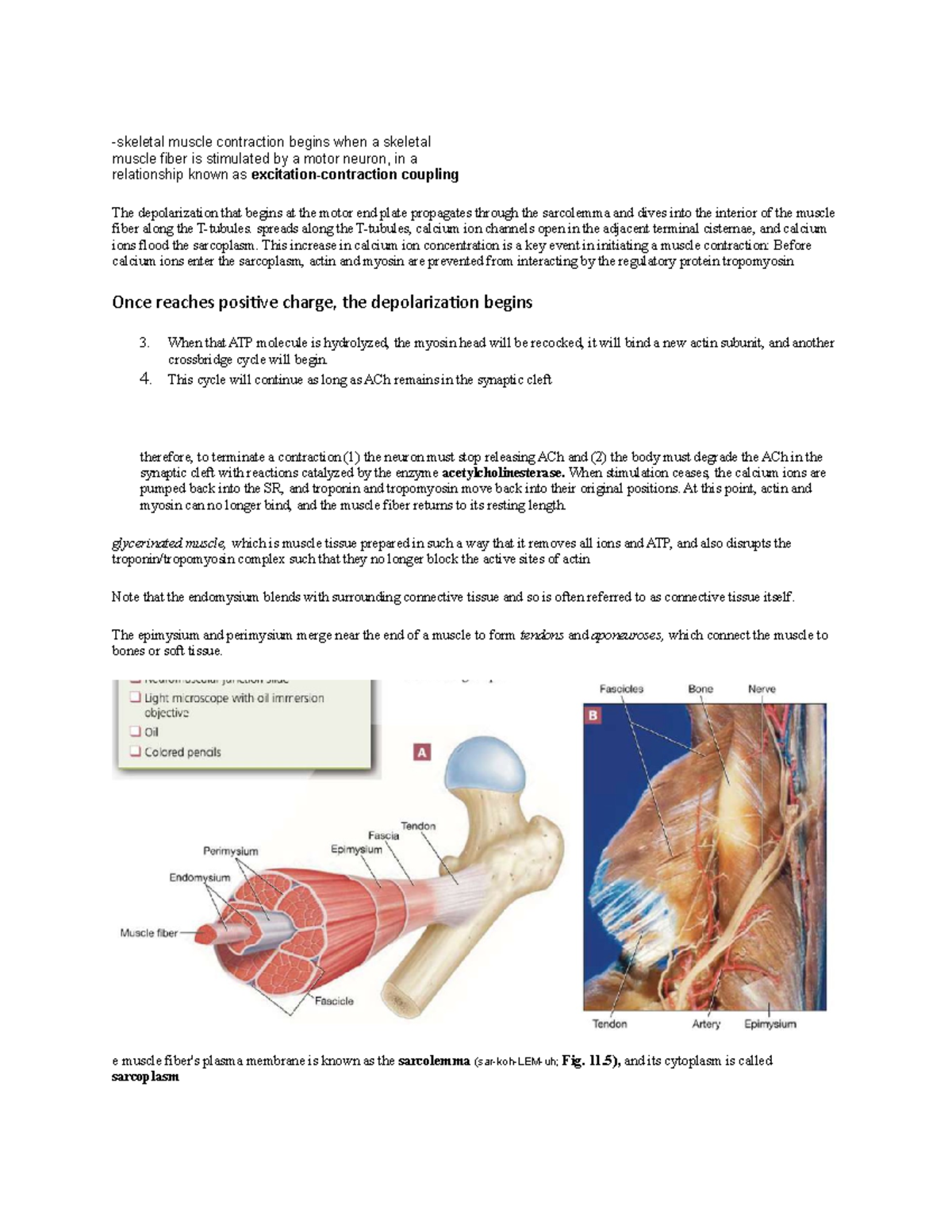 Lab exam 2 prep - this is a lab exam prep practice. lab exam is ...