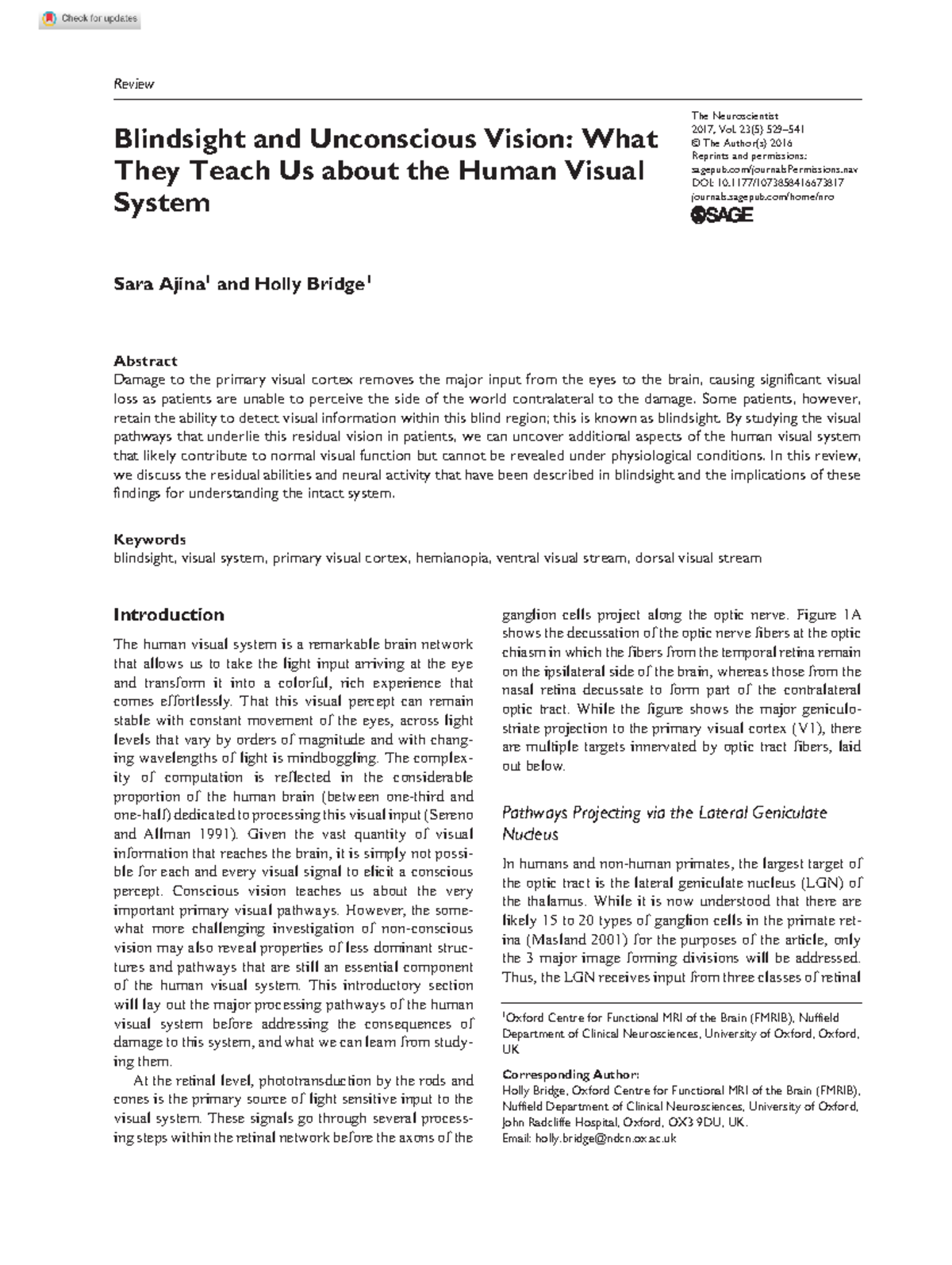 Ajina and Bridge Blindsight Visual pathways - Copie - Copie - The ...