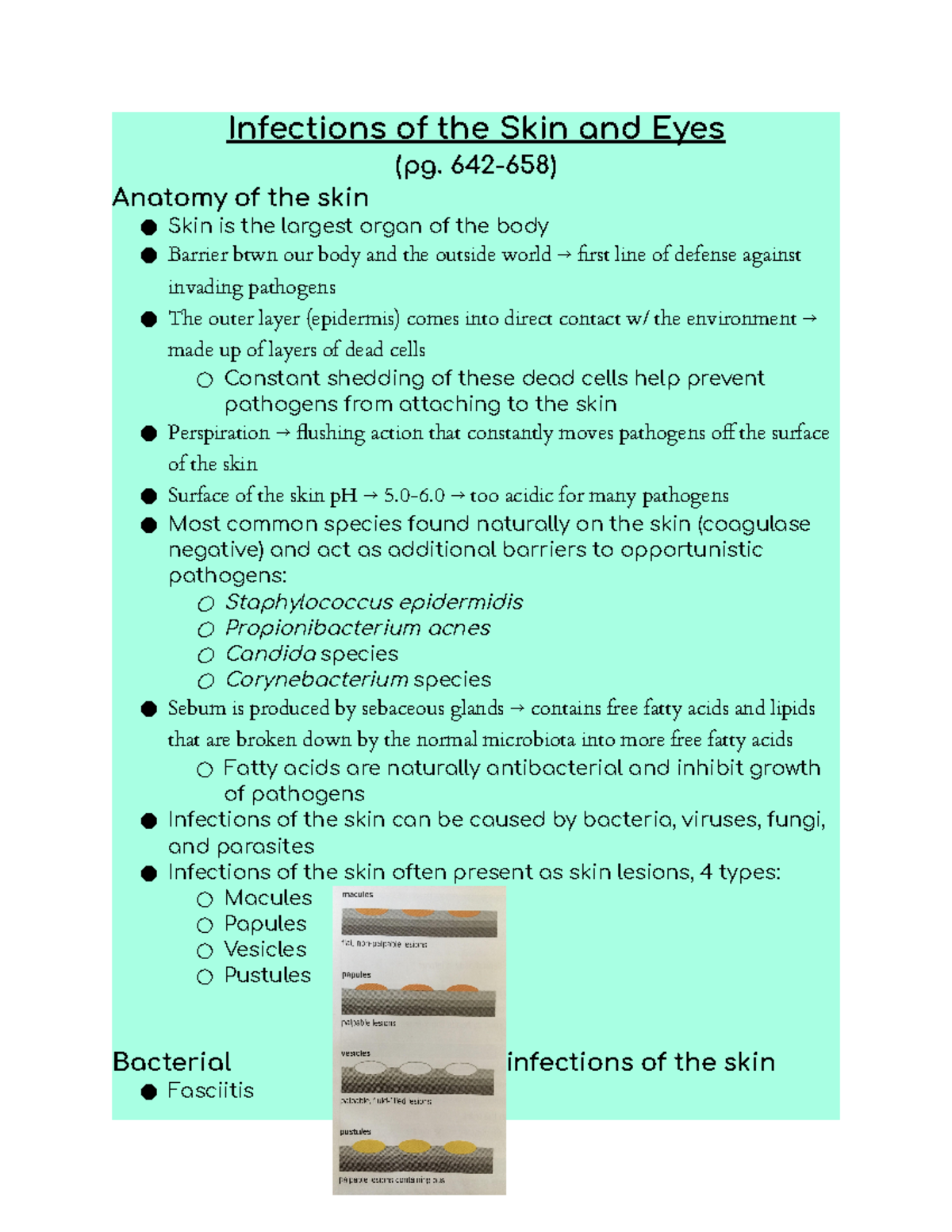 Chapter 26 - Class notes from microbiology with Heather Balyeat ...