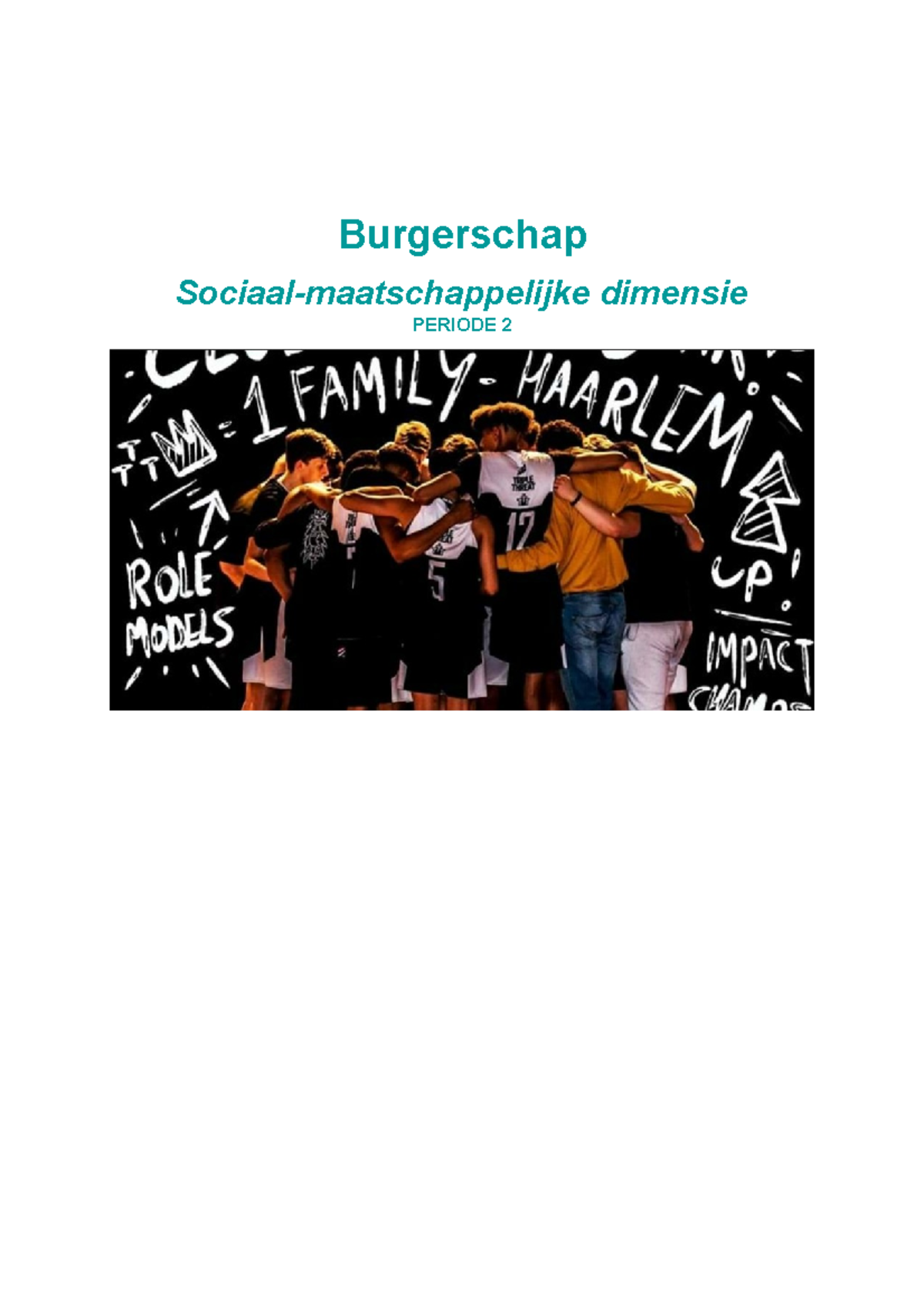 Sociaal Maatschappelijke Dimensie BUR Vervangende Opdracht ...