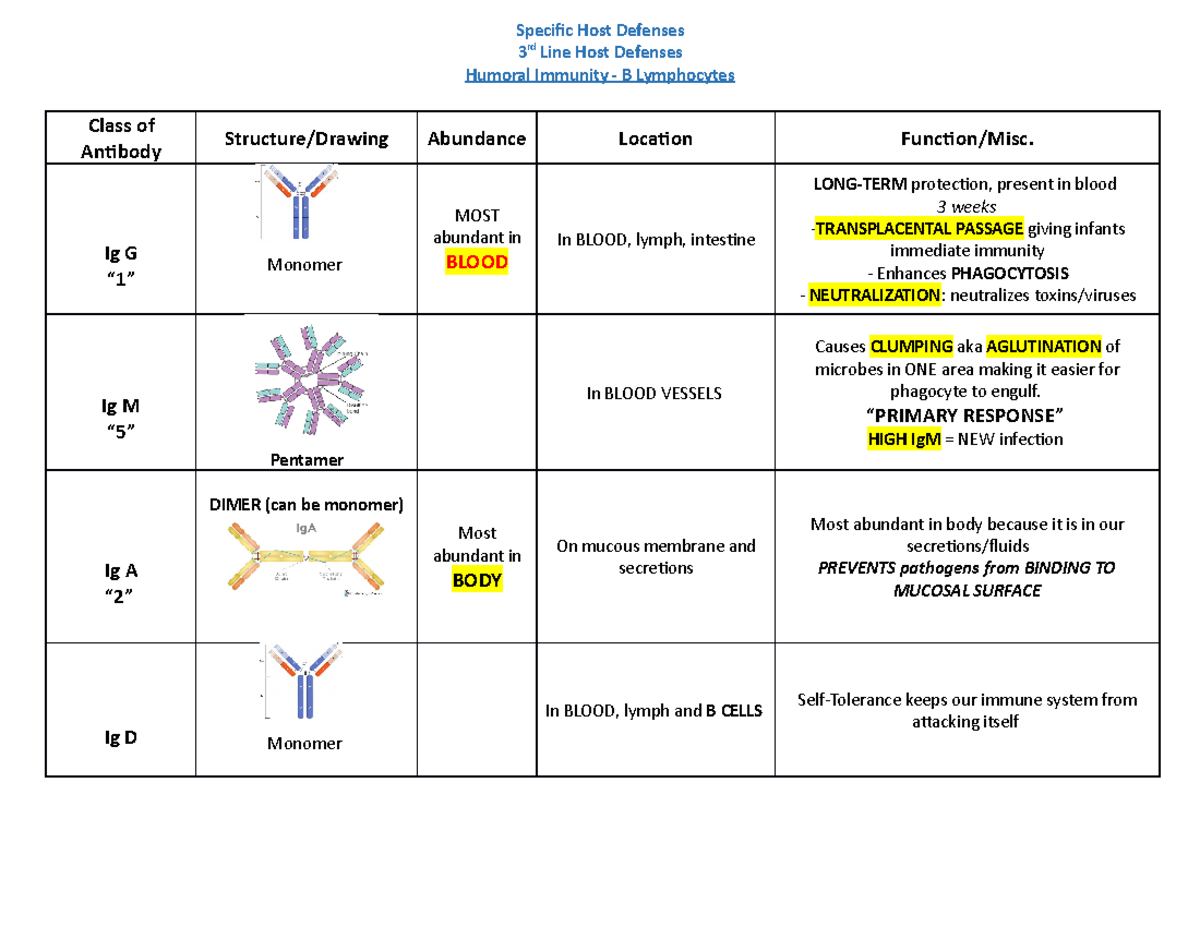 Immunoglobulins Table - Specific Host Defenses 3 rd Line Host Defenses ...