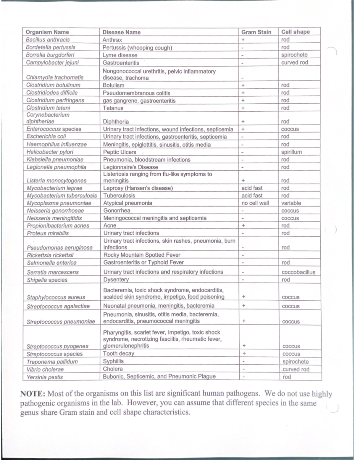 Organism Name cheat sheet - Organism Name Disease Name Gram Stain Cell ...