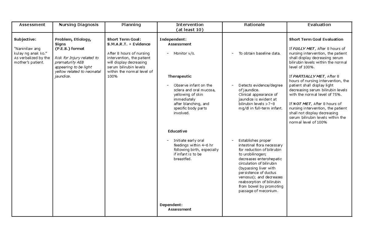 Newborn NCP Assessment Nursing Diagnosis Planning Intervention at 