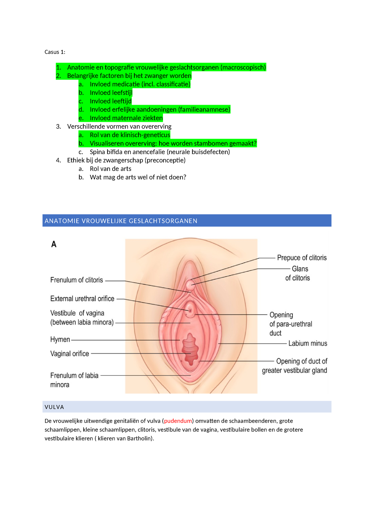 Casus 1 blok 2.2 Casus 1 1. Anatomie en topografie vrouwelijke