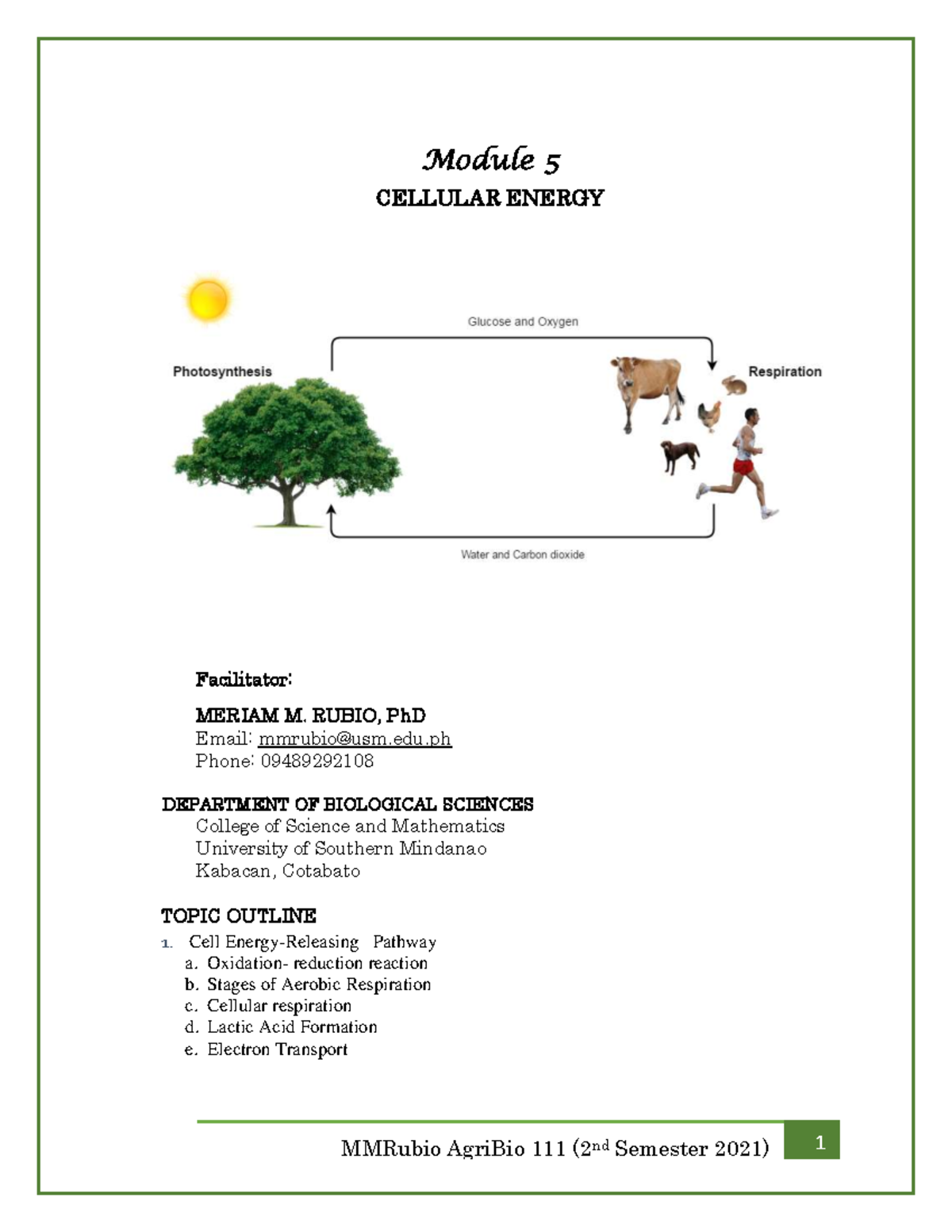 Module-5-Cellular-Energy-1 bio - Module 5 CELLULAR ENERGY Facilitator ...