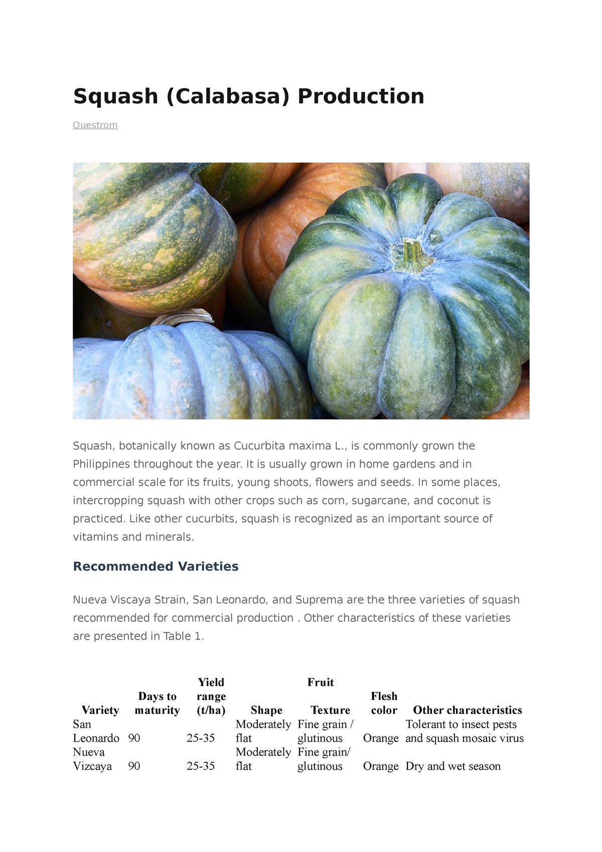 thesis study about squash