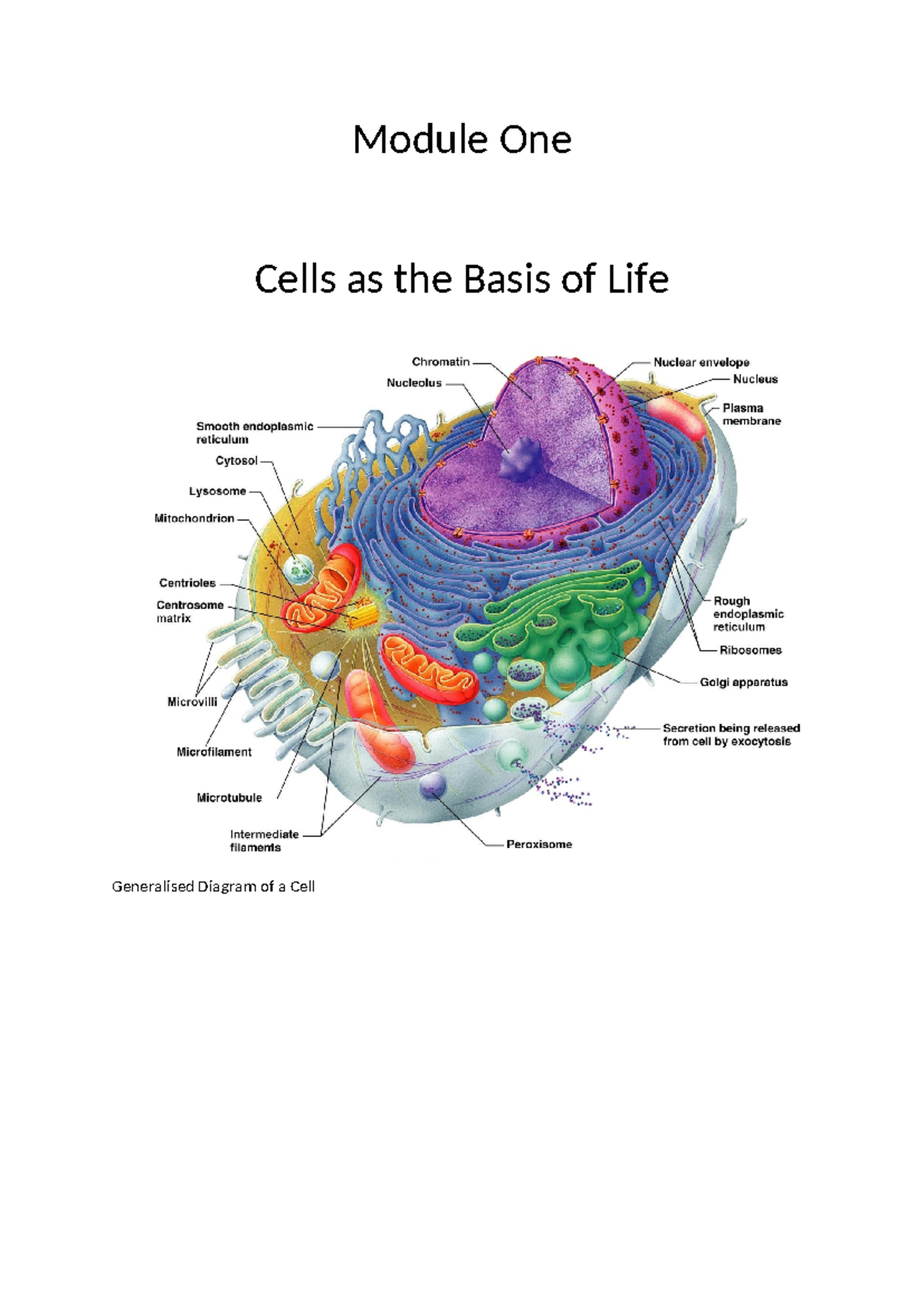 1. Module one Cells as the Basis of Life - Module One Cells as the ...