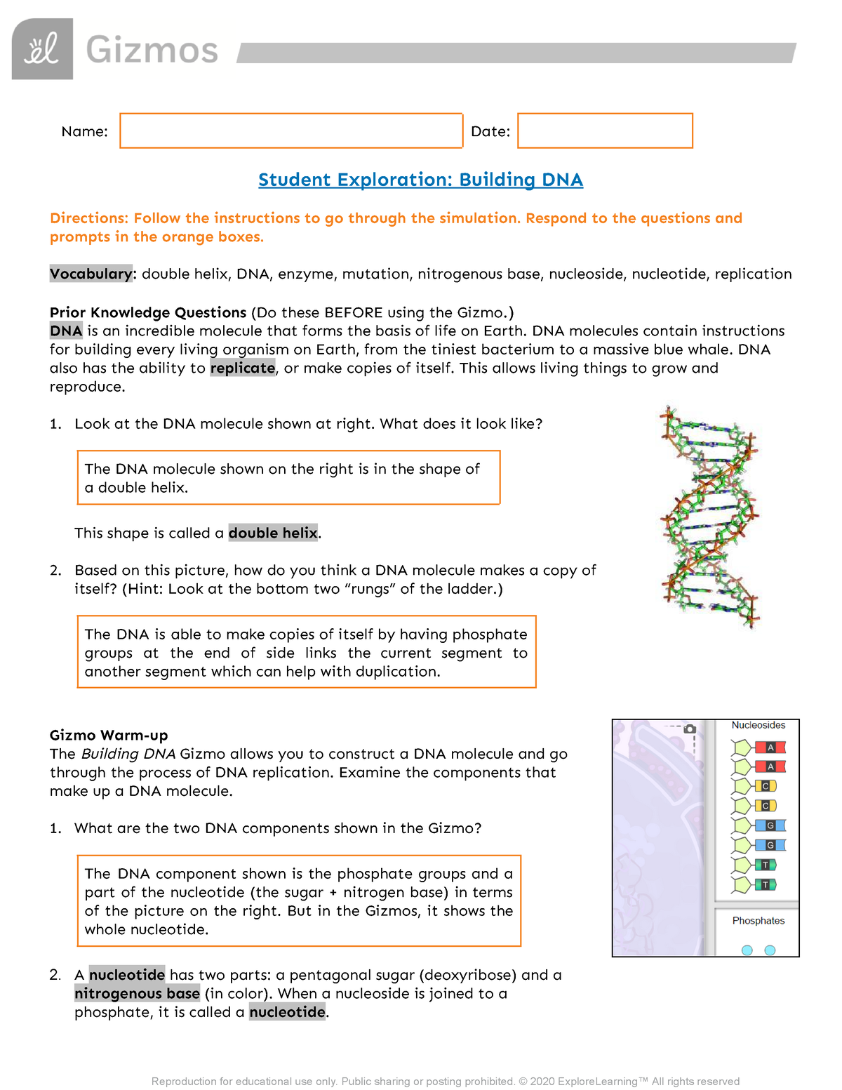 DNA Gizmos Lab Assignment - Name: Date: Student Exploration: Building ...