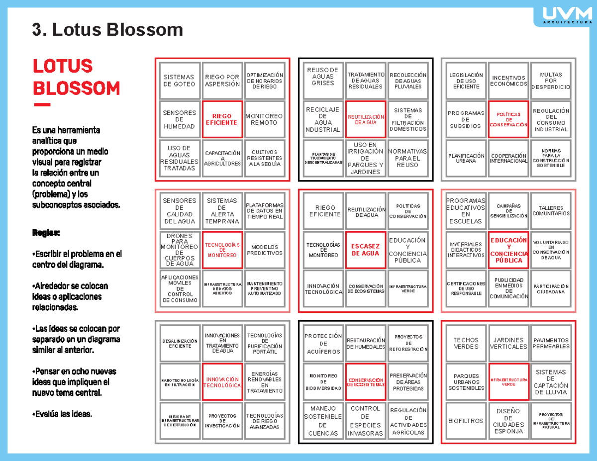 Act 8 Lotus Blossom, empatía para resolver, unidad 2, segundo