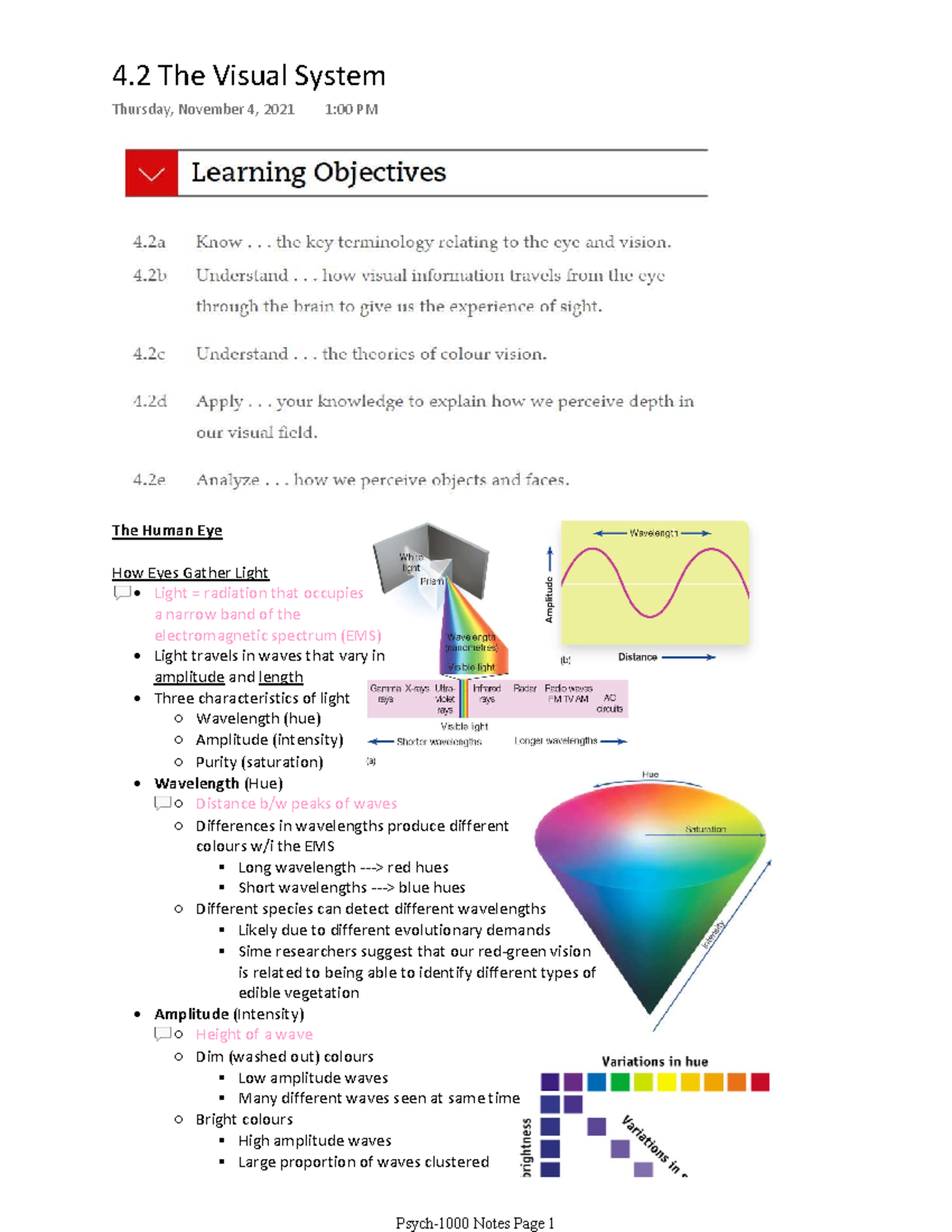 4.2 The Visual System - Taught by Stephen Smith. Includes course notes ...