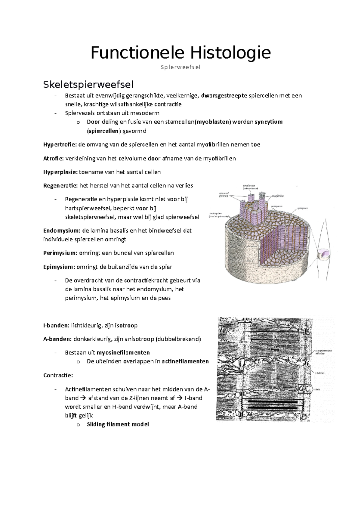 Literatuur Anatomie - Functionele Histologie Spierweefsel ...