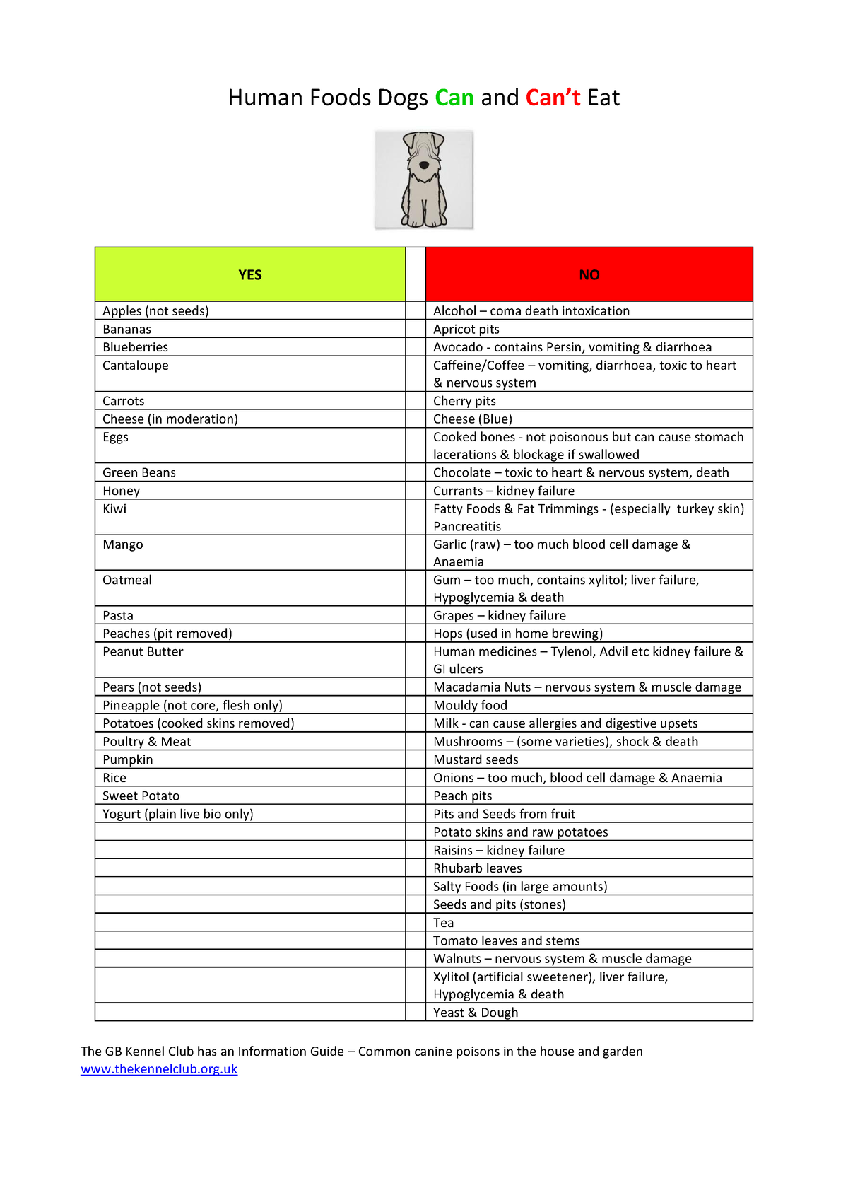 Human Foods Dogs Can and Can't Eat [with Chart]