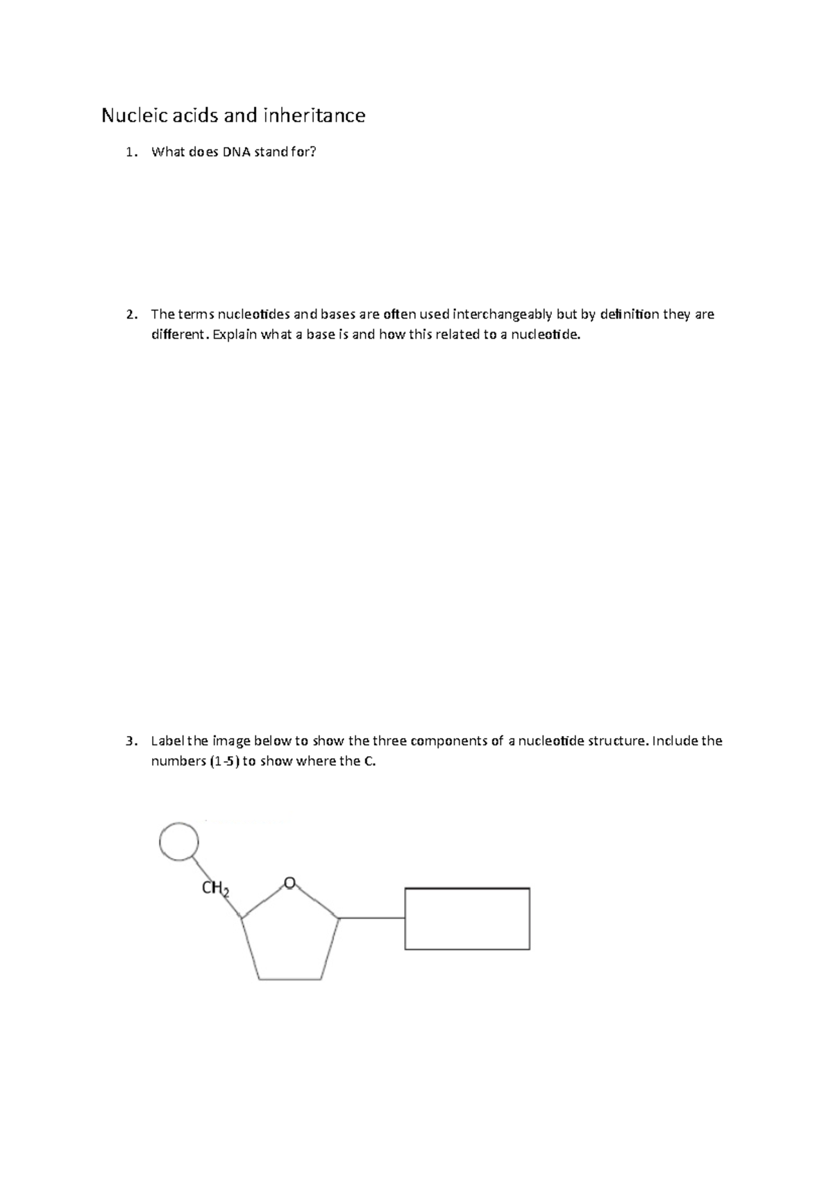 nucleic-acids-and-inheritance-worksheet-nucleic-acids-and-inheritance