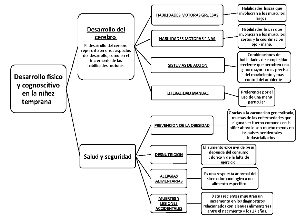 Mapa Mental De Libro De Papalia Desarrollo Fisico Y Cognoscitivo En