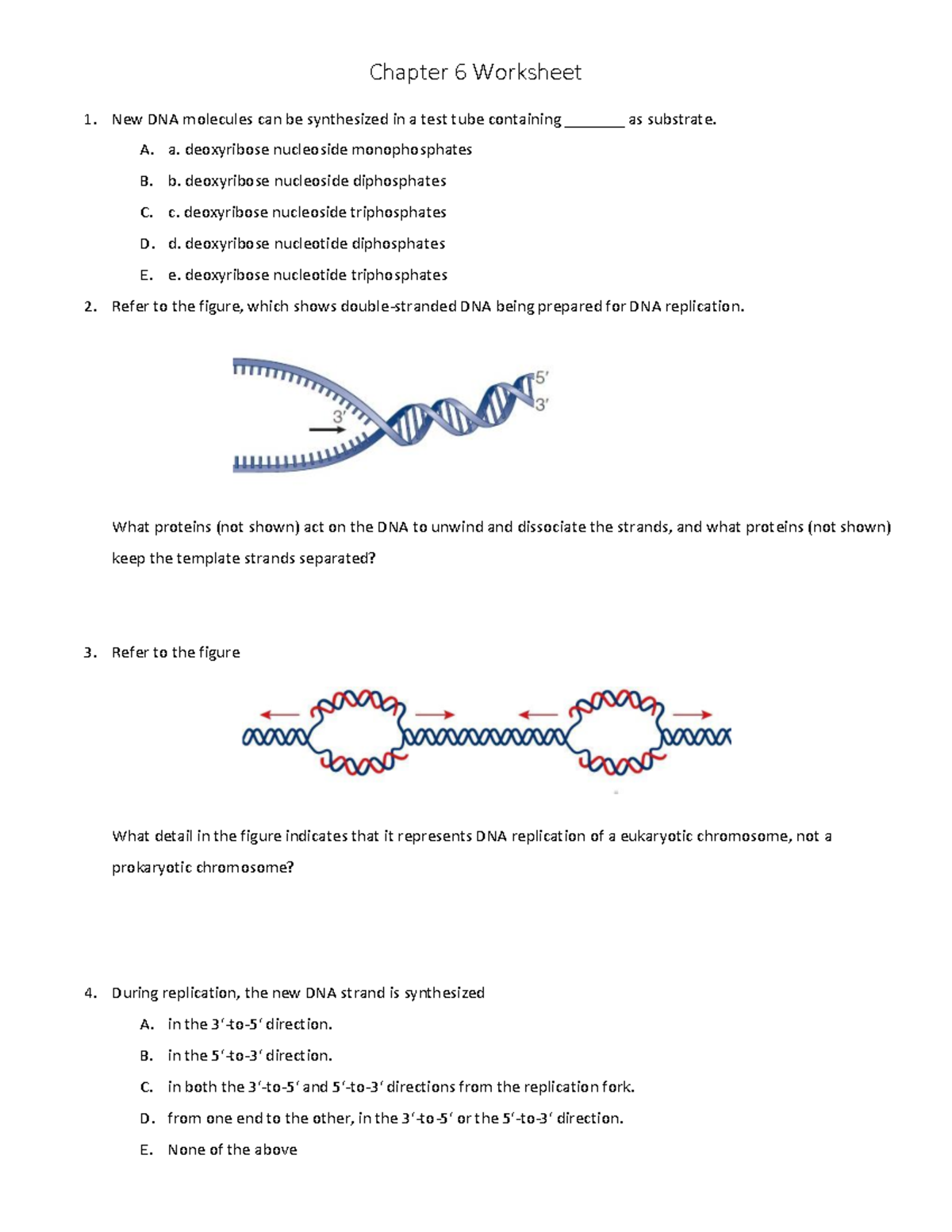 Chapter+6+Worksheet - Practice - Chapter 6 Worksheet New DNA molecules ...