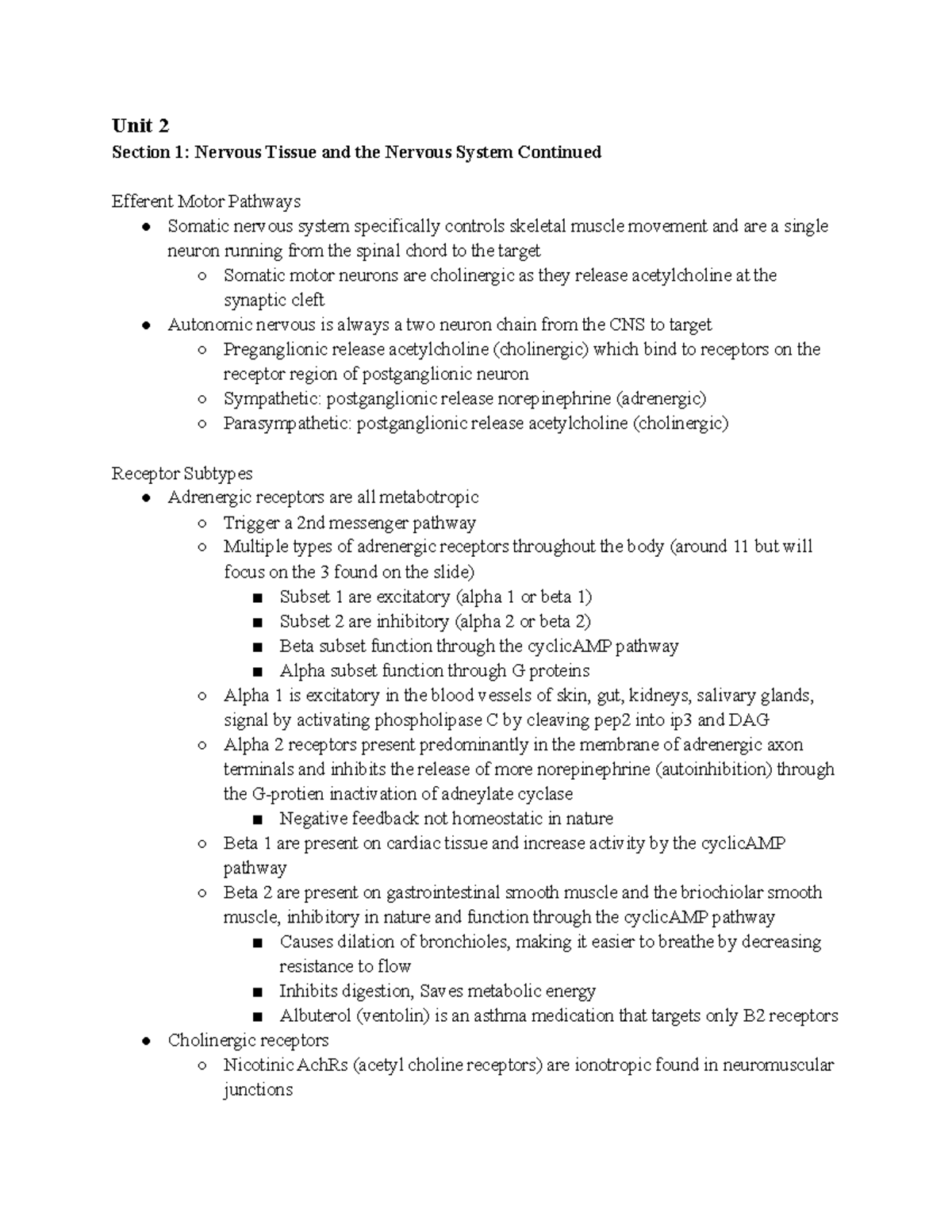 assignment 2.1 nervous system medical terms