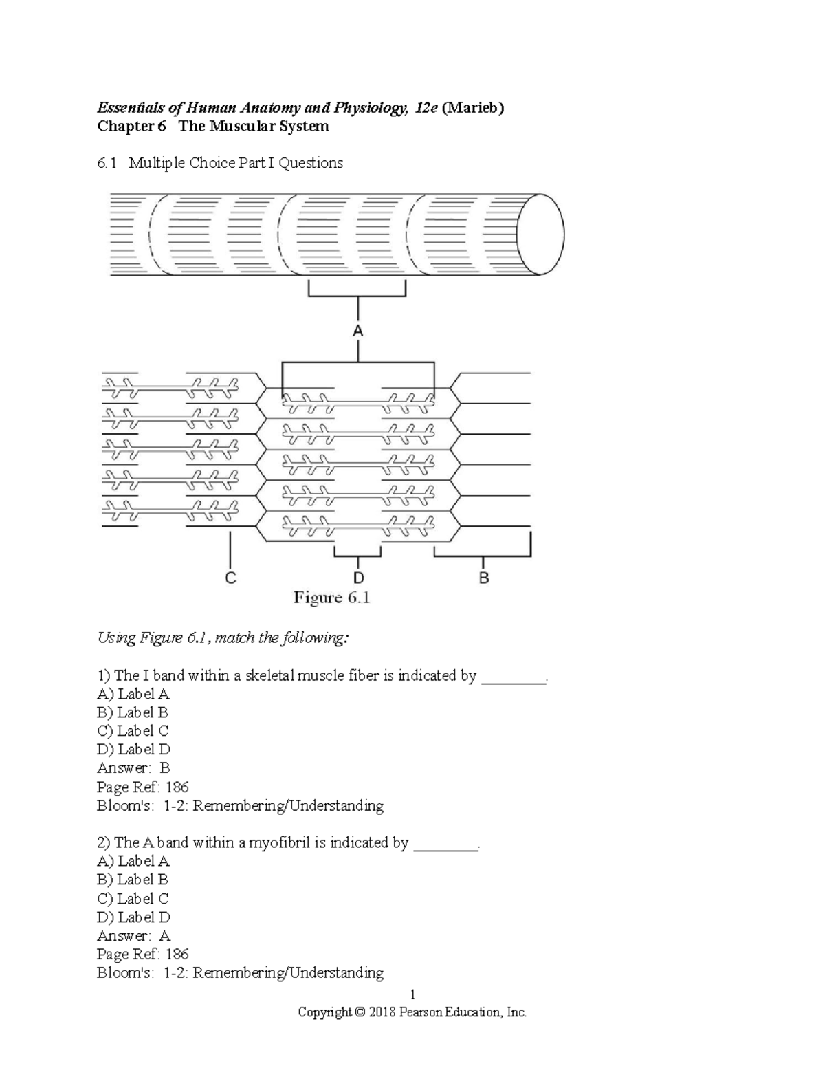 anatomy and physiology chapter 12 homework