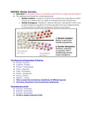 Study Guide #6 - Review Of Plant And Protist Diversity - BIOL 204 - Studocu