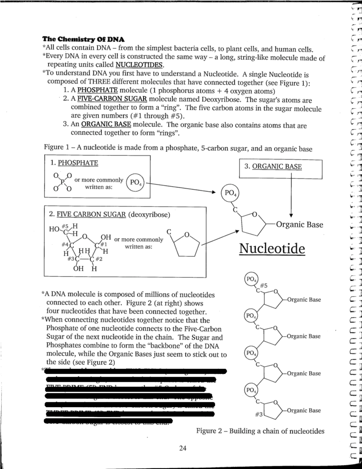 DNA+Reference+Sheet - Funny - Hydrogen bonds b - Studocu