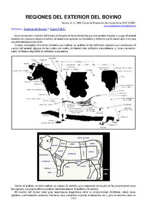Stephanurus dentatus - resumen - Stephanurus dentatus Suidos ...