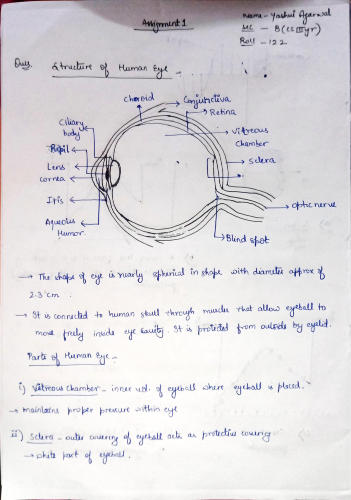 Assign 1 IP - Notes - Image Processing - Studocu