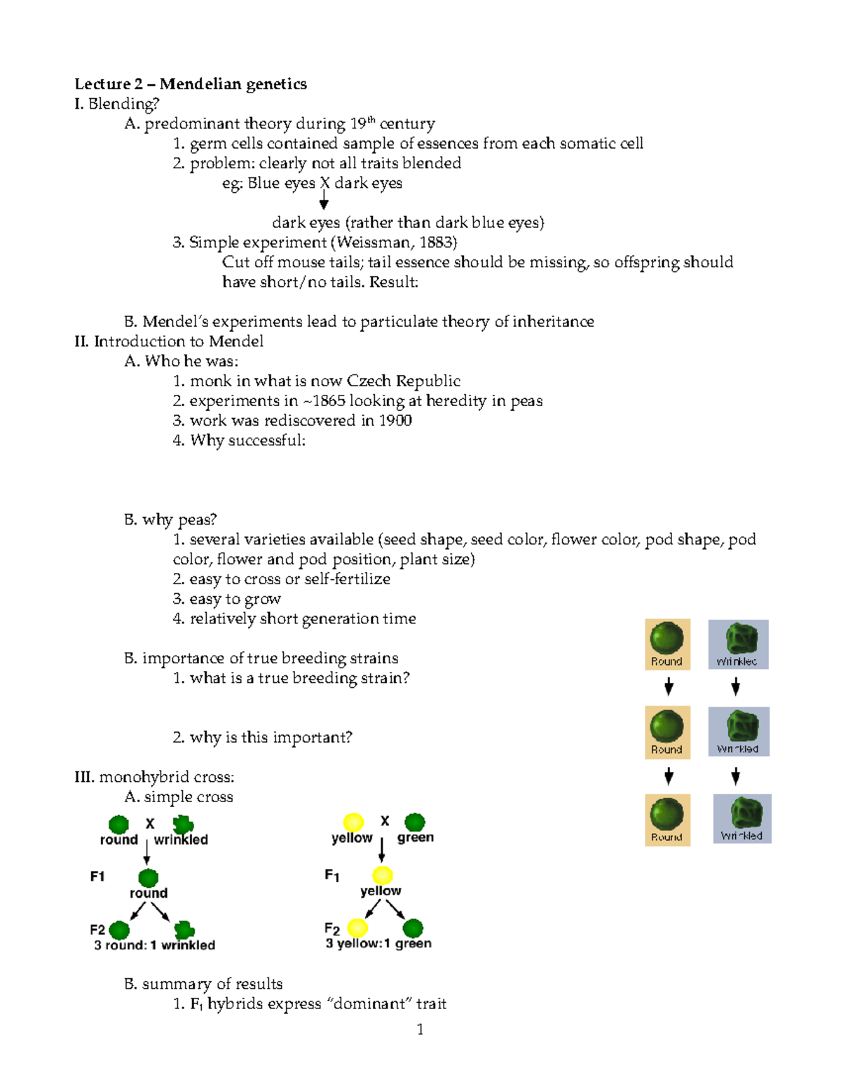 Mendelian Genetics - Blending? A. predominant theory during 19th ...