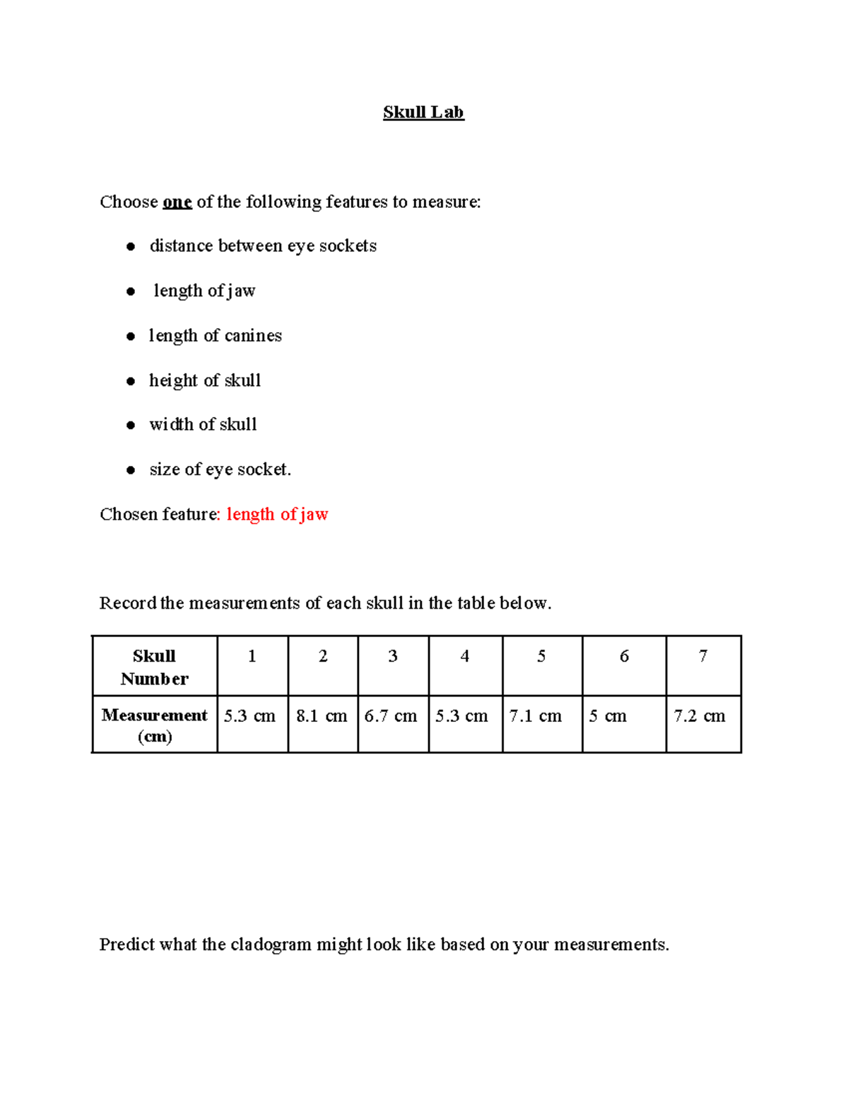 Skull Lab Quizlet 45 - 12fea4i