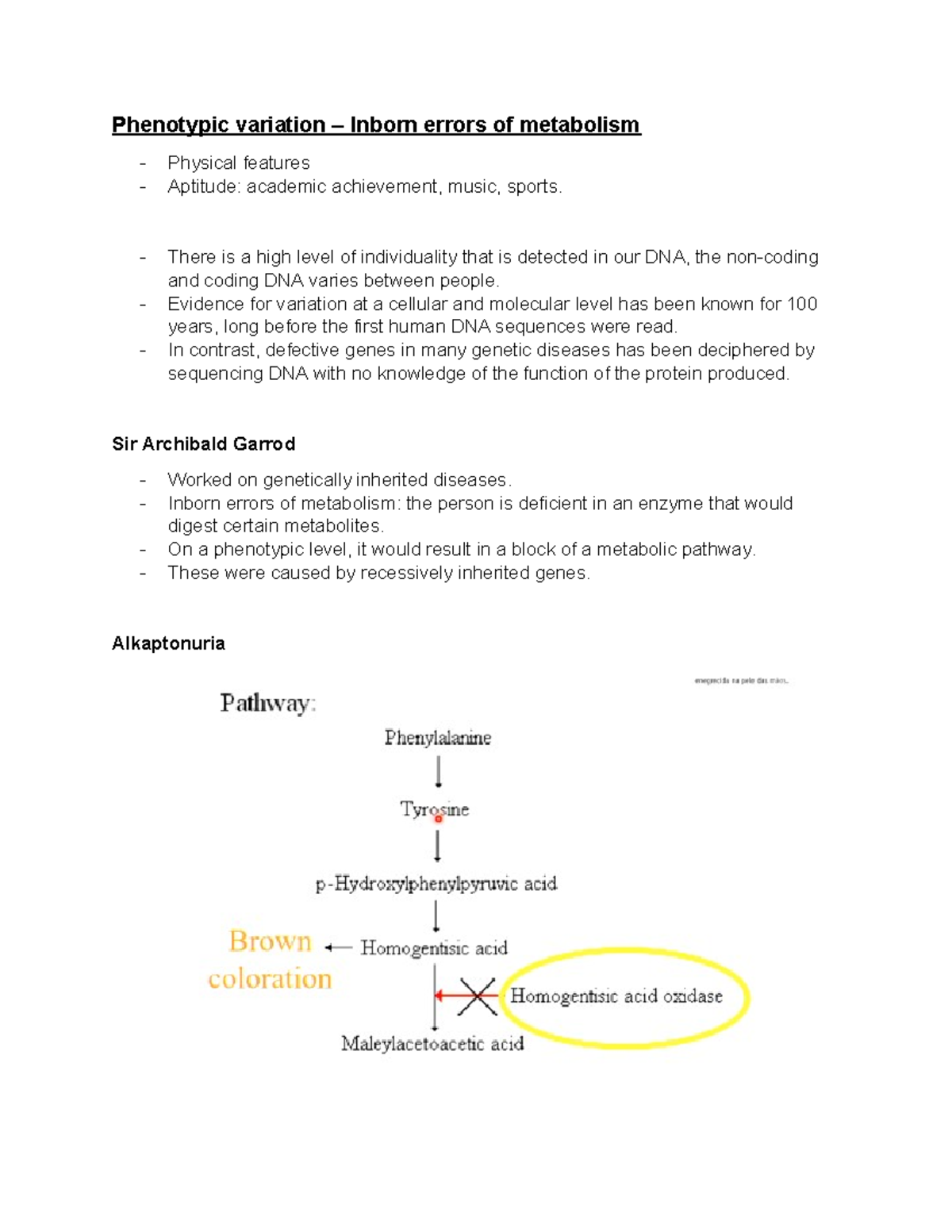 Lecture 3 human genetic variation - Phenotypic variation – Inborn ...