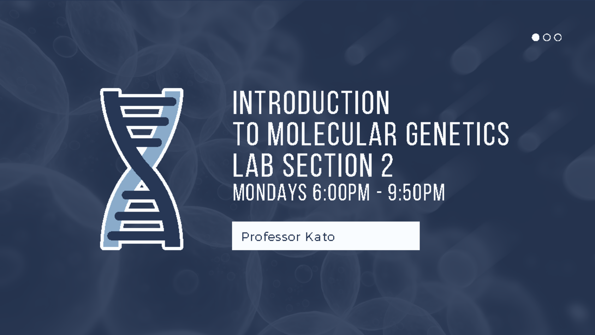 lecture notes bio - INTRODUCTION TO MOLECULAR GENETICS LAB SECTION 2 ...