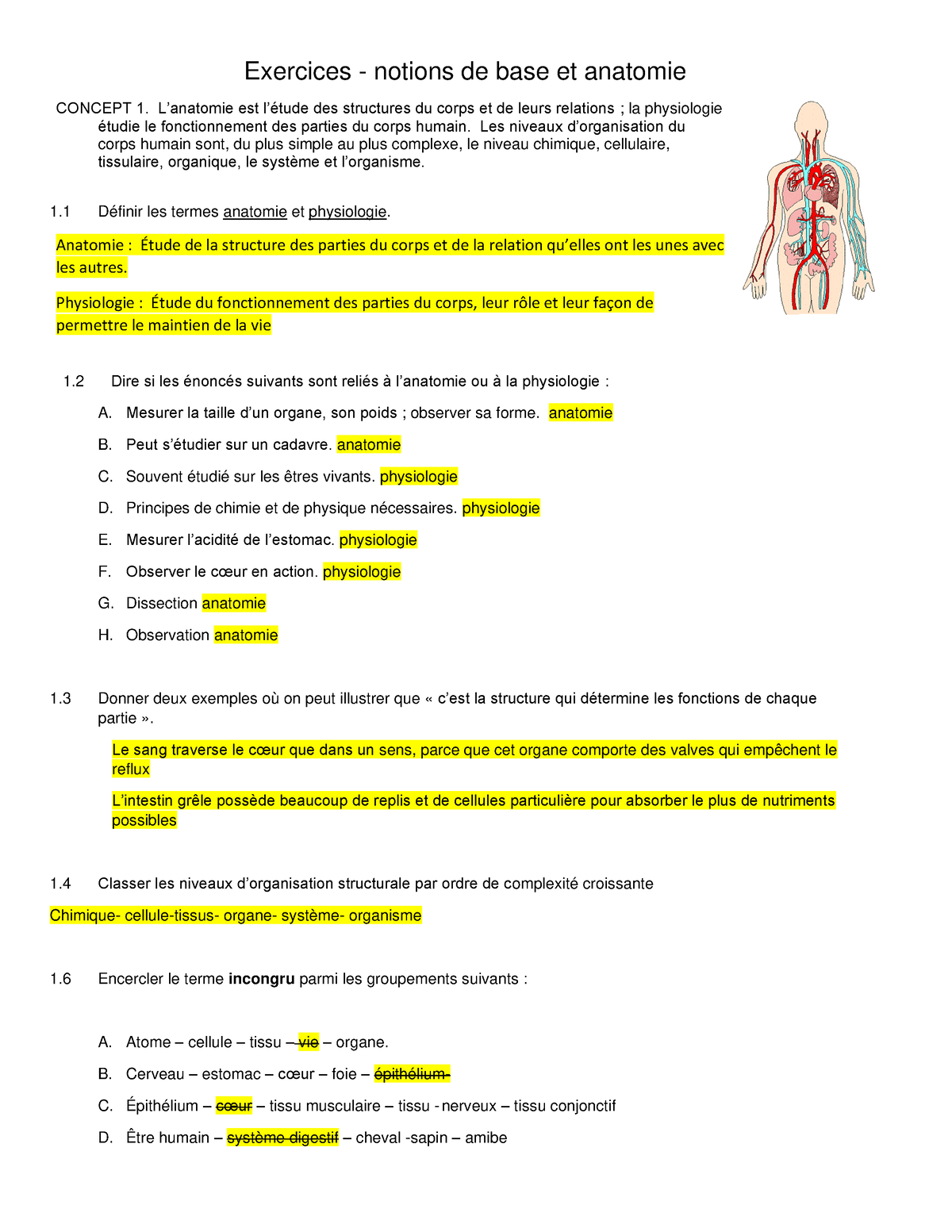 tableau des systèmes du corps humain et de leurs fonctions