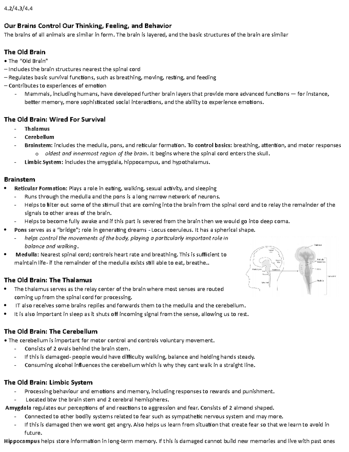 4.2.4.3 - 4.2/4/4. Our Brains Control Our Thinking, Feeling, and ...