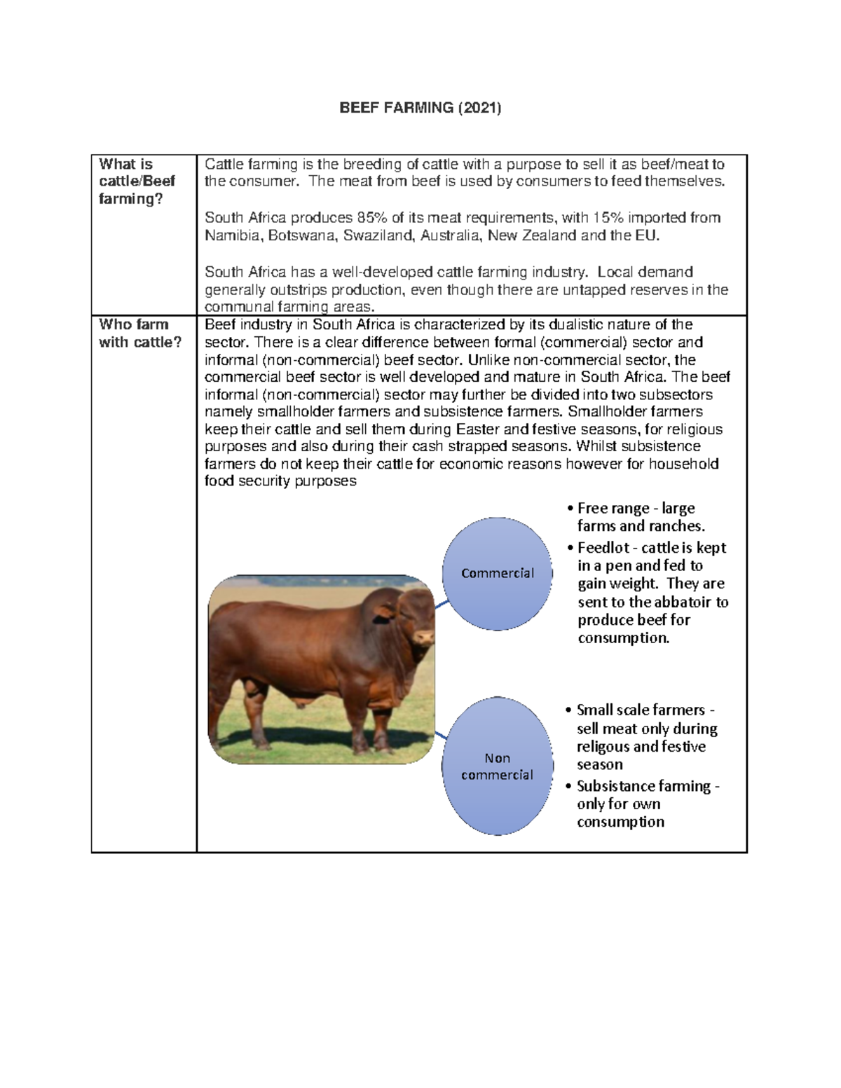 Beef farming Geography GR12 Case Study final 190821 - BEEF FARMING ...