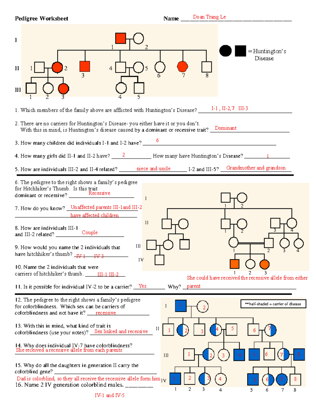 Kami Export - Doan Trang Le - Pedigree worksheet - Pedigree Worksheet Name  - Studocu